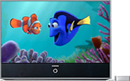 DVI TV playing 'Finding Nemo'